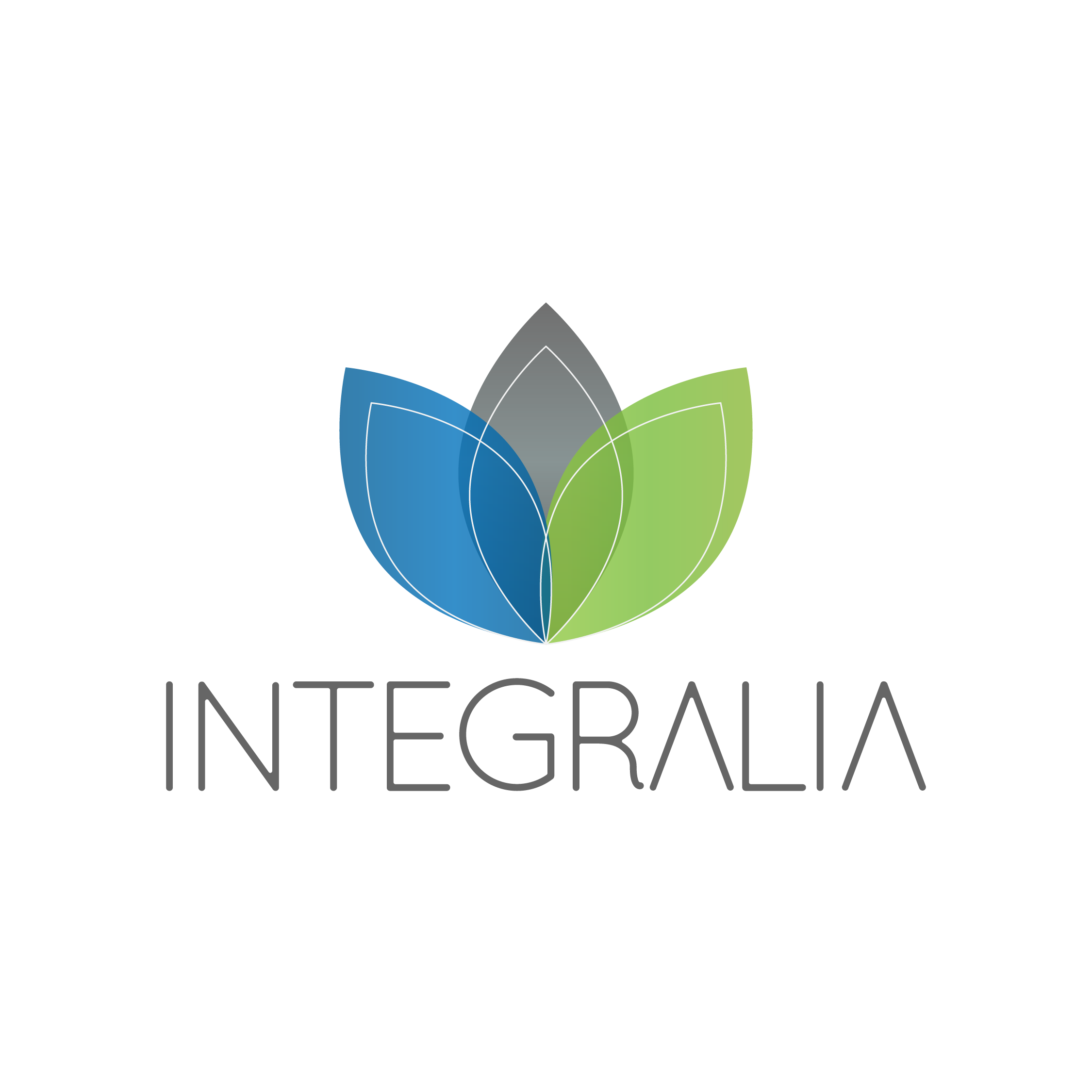 Integralia Group